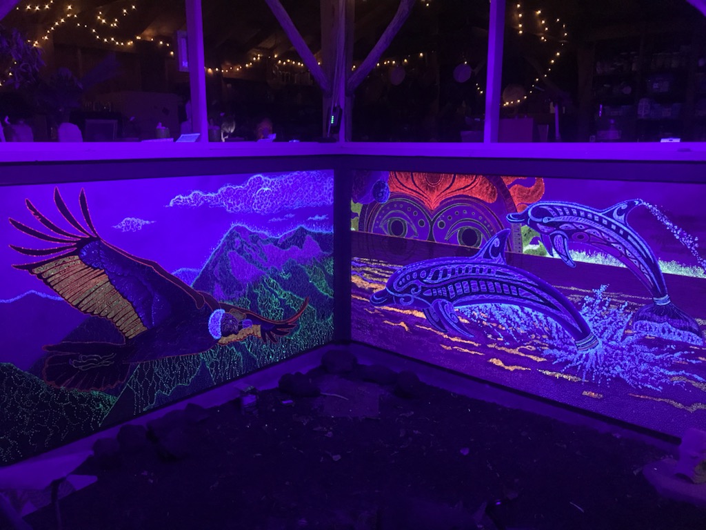 Condor and Dolphins Paintings in UV light