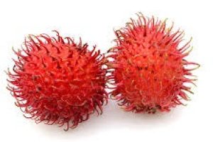 rambutan