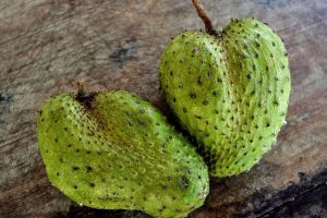 soursop-g1d1b99de6_1280_1024_617